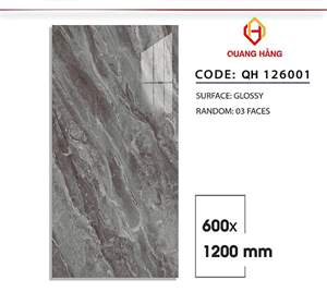 Gạch Việt Nam 60x120 – mã QH91625