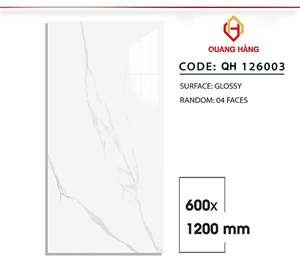 Gạch Việt Nam 60x120 – mã QH92645