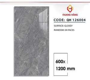 Gạch Việt Nam 60x120 – mã QH-1643