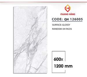 Gạch Việt Nam 60x120 – mã QH-1645