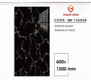 Gạch Việt Nam 60x120 – mã QH-1649