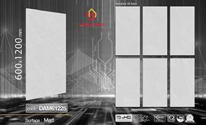 Gạch Việt Nam 60x120 – mã QH49076