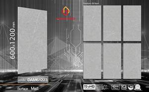 Gạch Việt Nam 60x120 – mã QH49911