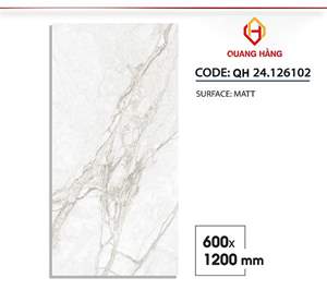 Gạch Việt Nam 60x120 – mã QH51165