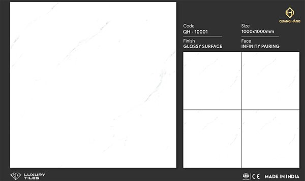 Gạch Ấn Độ 100x100 – mã QH74234