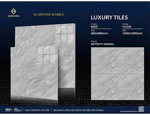 Gạch Việt Nam 100x100 – mã QH48547