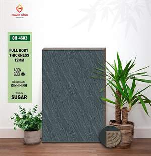 Gạch sân vườn Việt Nam 40x60 – mã QH4-925