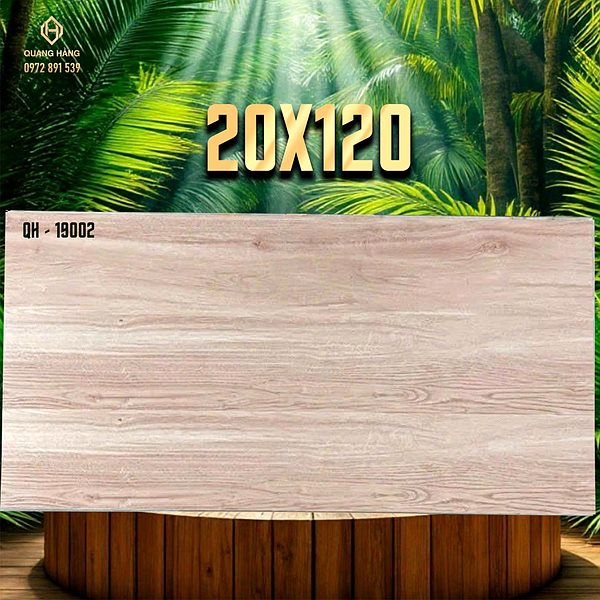 Gạch Ấn Độ 20x120 – mã QH89582