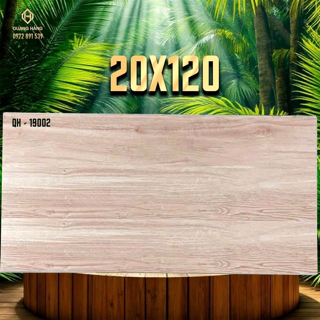 Gạch Ấn Độ 20x120 – mã QH89582