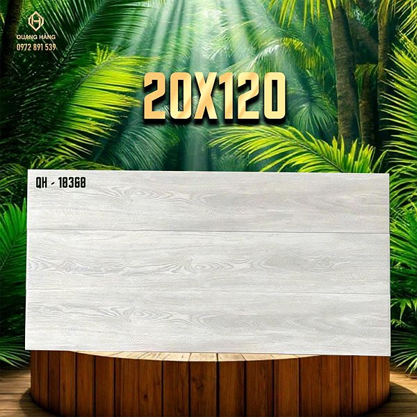 Gạch Ấn Độ 20x120 – mã QH89583