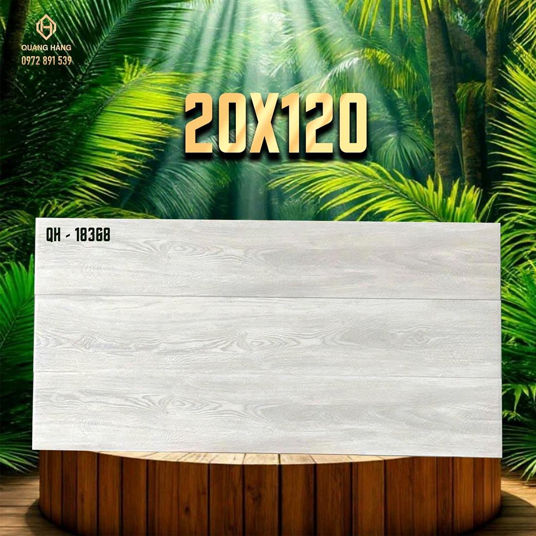 Gạch Ấn Độ 20x120 – mã QH89583