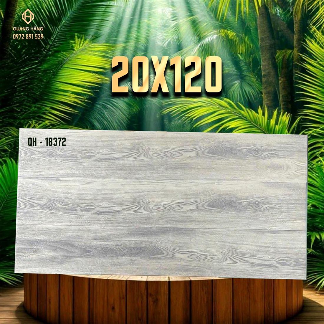 Gạch Ấn Độ 20x120 – mã QH89584