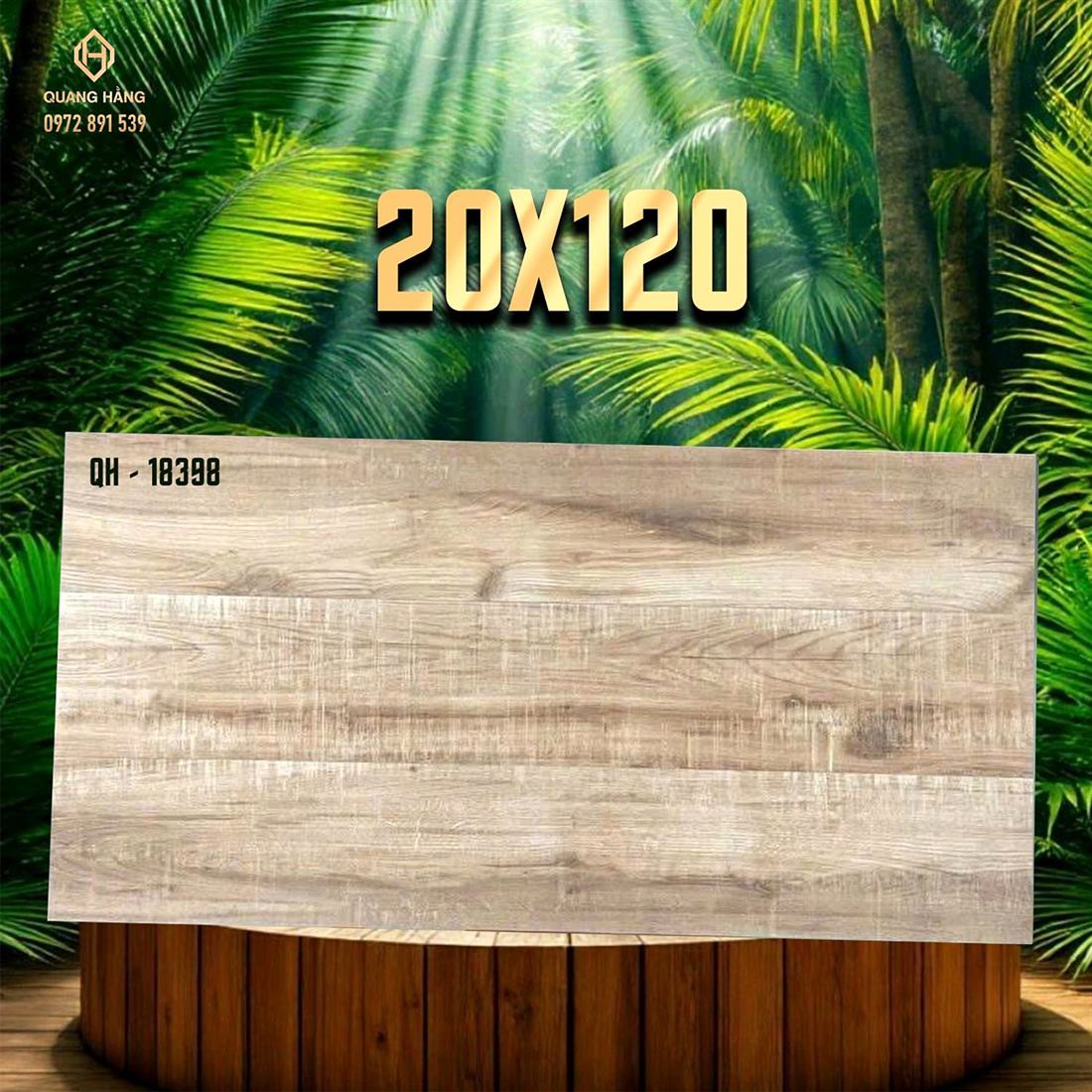 Gạch Ấn Độ 20x120 – mã QH89585
