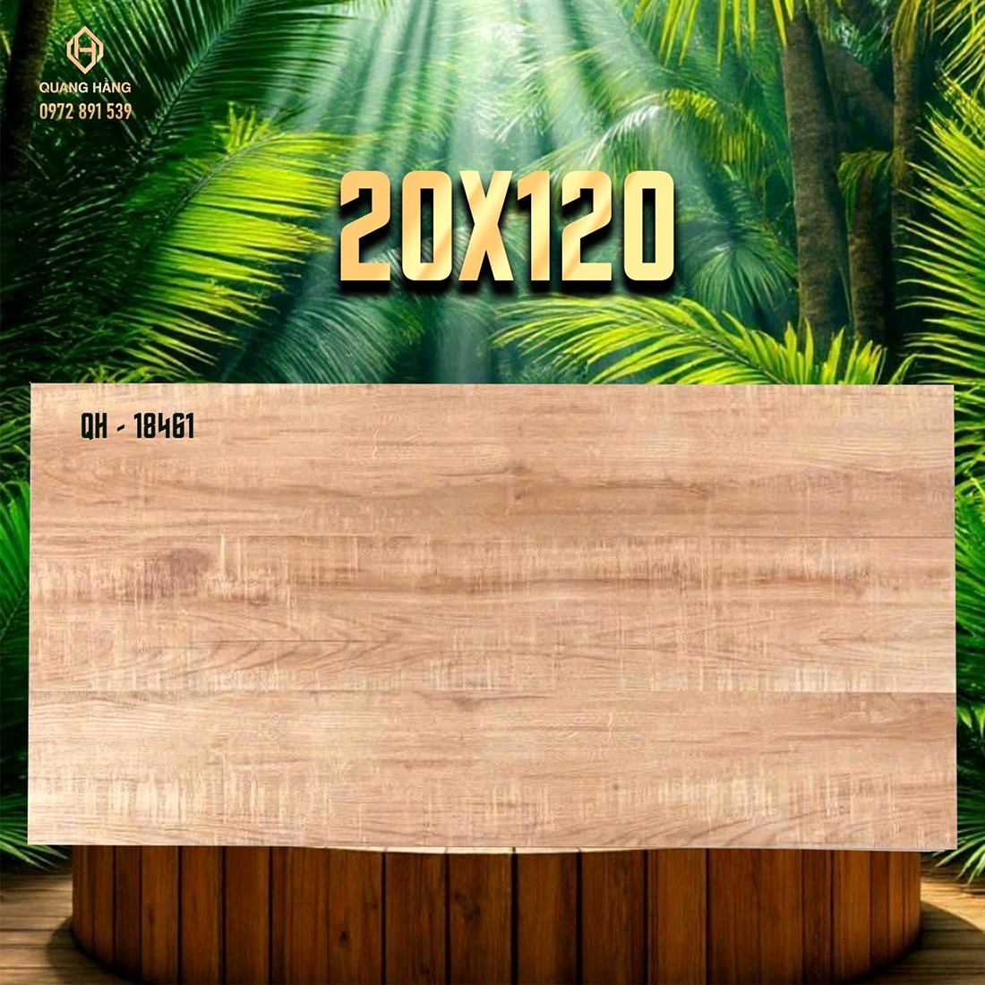 Gạch Ấn Độ 20x120 – mã QH89587