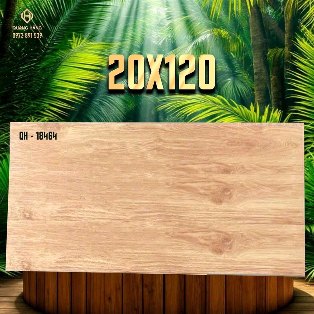 Gạch Ấn Độ 20x120 – mã QH89588