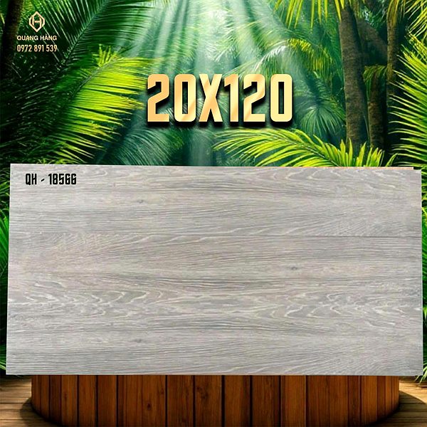 Gạch Ấn Độ 20x120 – mã QH89589