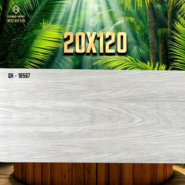 Gạch Ấn Độ 20x120 – mã QH89590