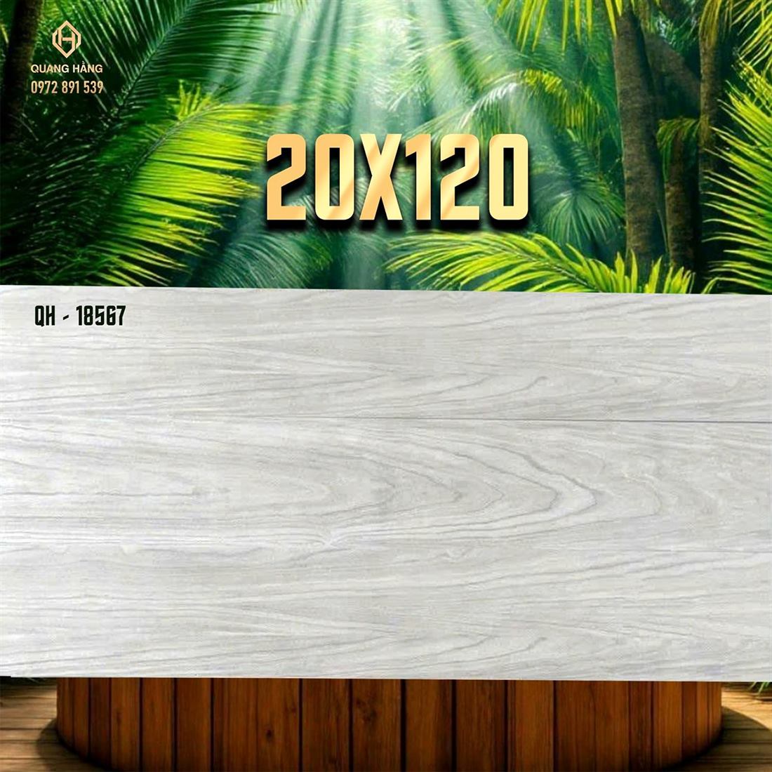 Gạch Ấn Độ 20x120 – mã QH89590