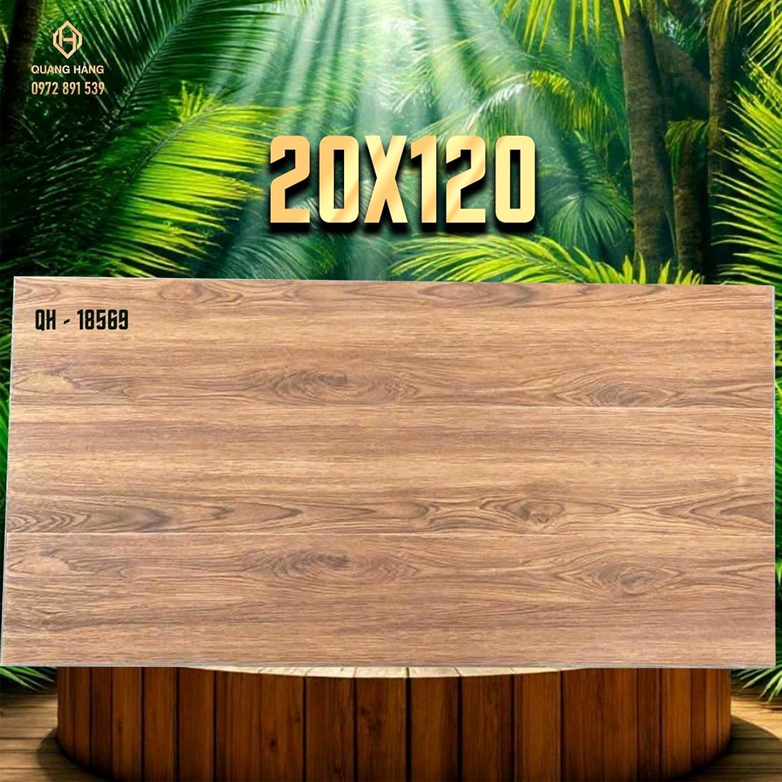 Gạch Ấn Độ 20x120 – mã QH89592