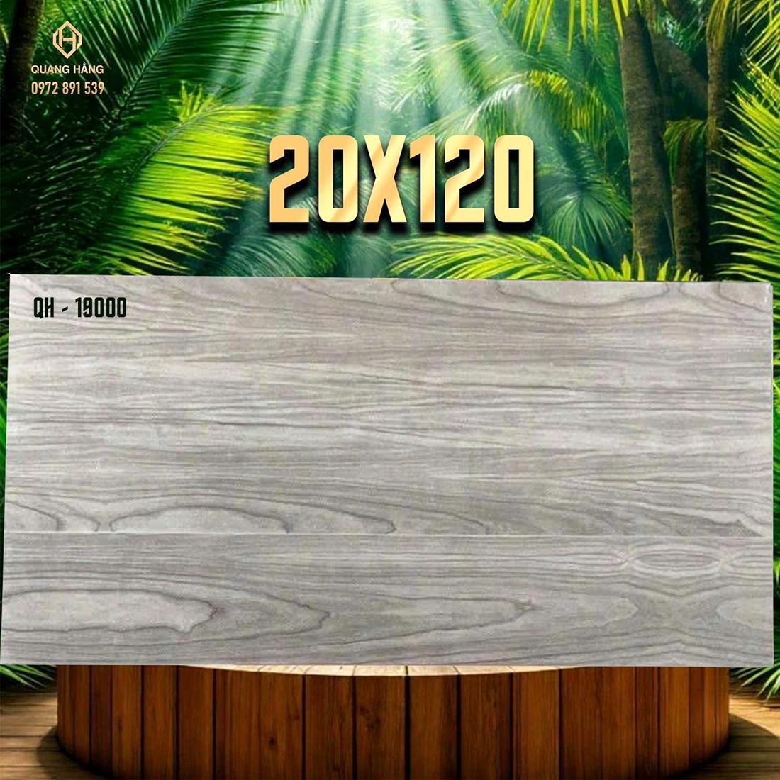 Gạch Ấn Độ 20x120 – mã QH89593