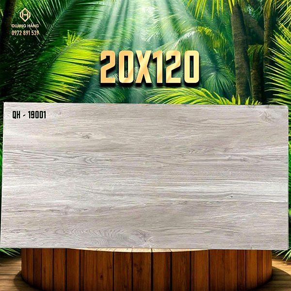 Gạch Ấn Độ 20x120 – mã QH89594