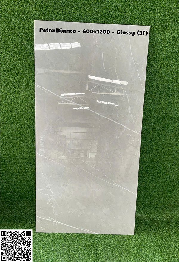 Gạch Ấn Độ 60x120 – mã QH09180