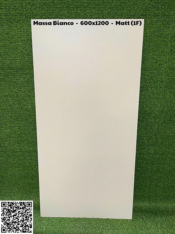 Gạch Ấn Độ 60x120 – mã QH09196