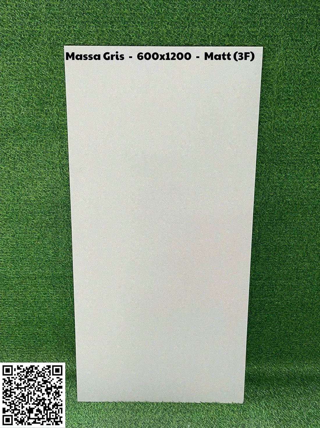 Gạch Ấn Độ 60x120 – mã QH09199