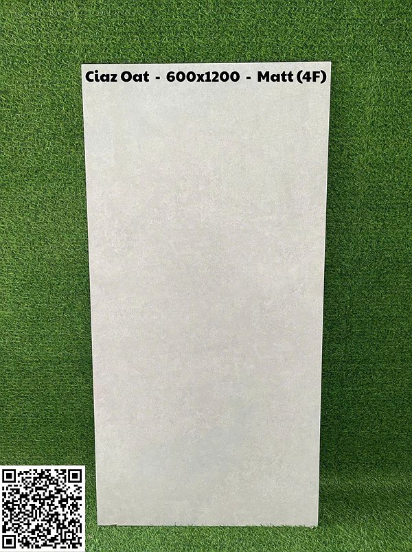 Gạch Ấn Độ 60x120 – mã QH09213