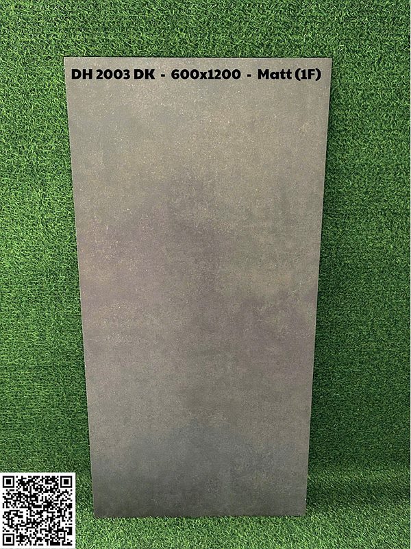 Gạch Ấn Độ 60x120 – mã QH09219