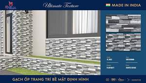 Gạch thẻ Ấn Độ 30x60 – mã QH40814