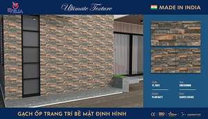 Gạch thẻ Ấn Độ 30x60 – mã QH40816