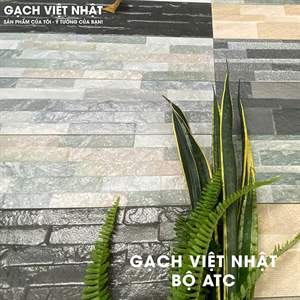 Gạch thẻ Việt Nam 16.5x50 – mã QH92848