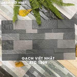 Gạch thẻ Việt Nam 16.5x50 – mã QH-1091