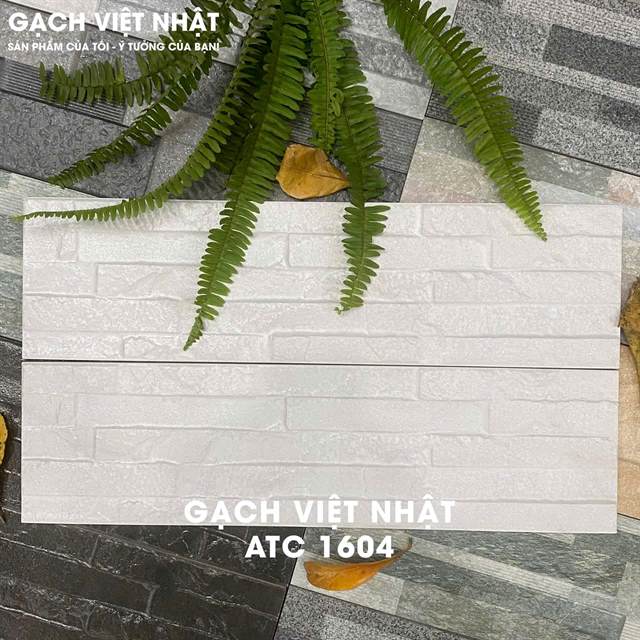 Gạch thẻ Việt Nam 16.5x50 – mã QH93114