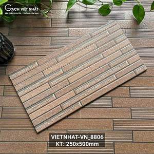 Gạch thẻ Việt Nam 25x50 – mã QH-1121