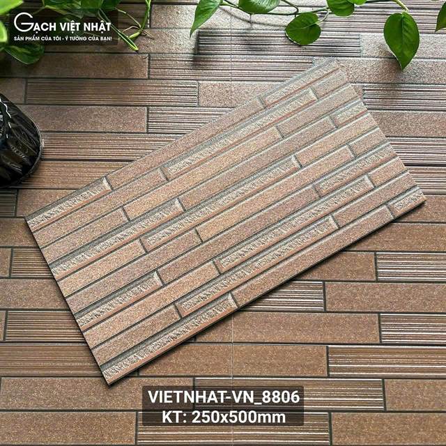 Gạch thẻ Việt Nam 25x50 – mã QH-1121