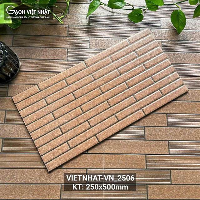 Gạch thẻ Việt Nam 25x50 – mã QH63657