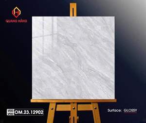 Gạch Việt Nam 120x120 – mã TC03601