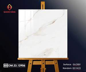 Gạch Việt Nam 120x120 – mã TC03805