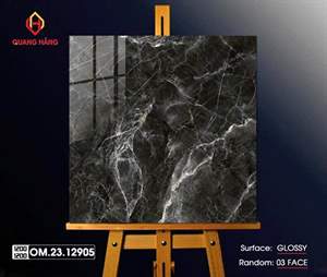 Gạch Việt Nam 120x120 – mã TC04610