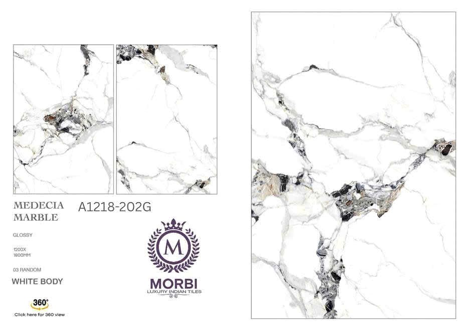 Gạch Ấn Độ 120x180 – mã QH86750