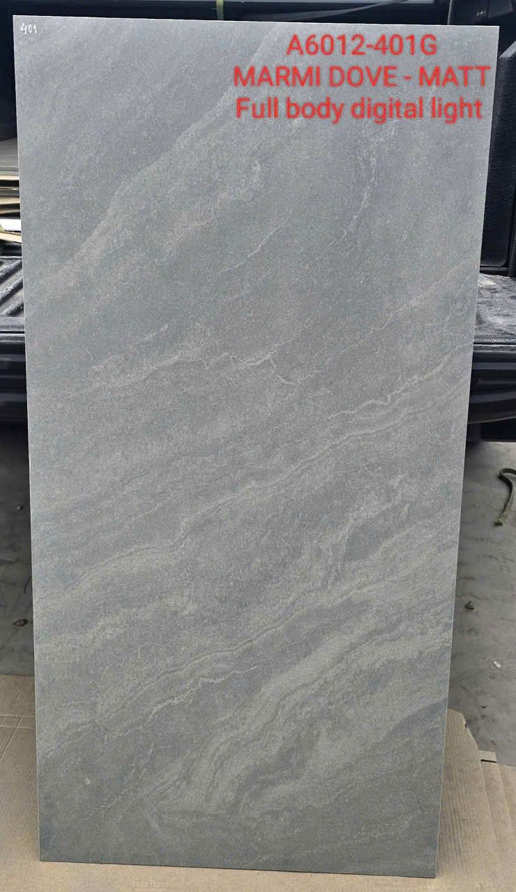 Gạch Ấn Độ 60x120 – mã QH55827