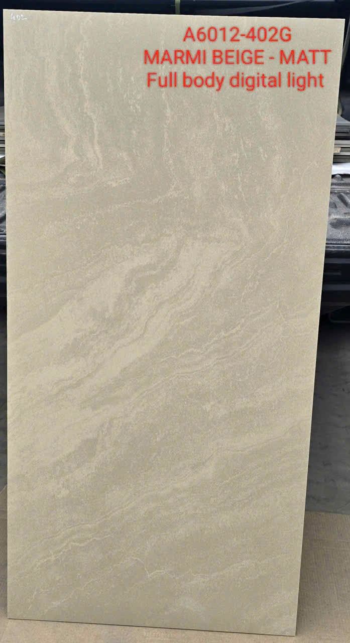 Gạch Ấn Độ 60x120 – mã QH55844