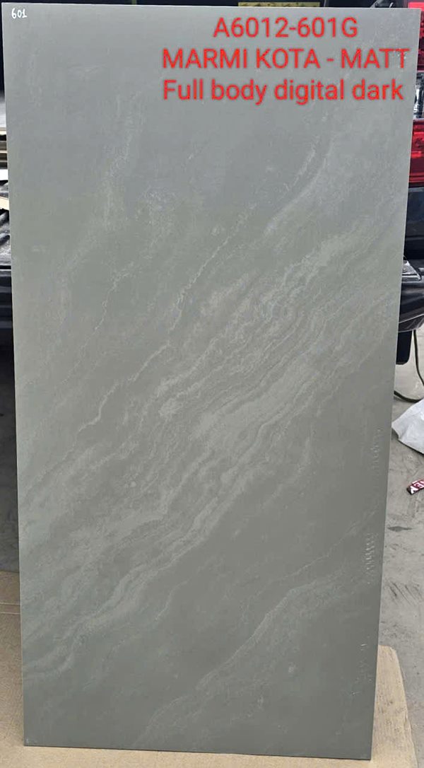 Gạch Ấn Độ 60x120 – mã QH59676