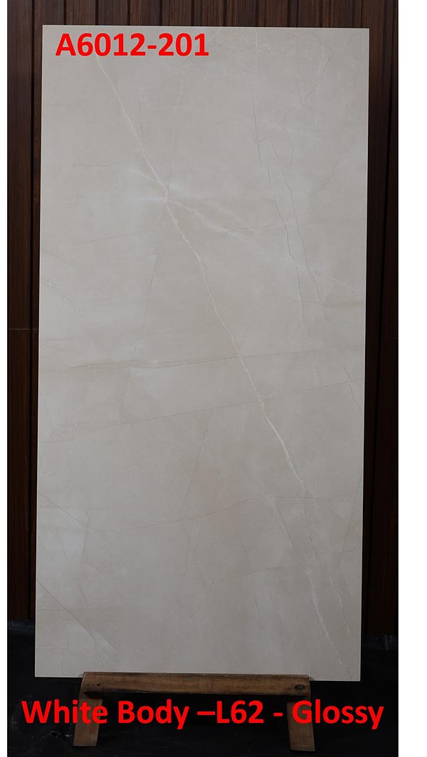 Gạch Ấn Độ 60x120 – mã QH64738
