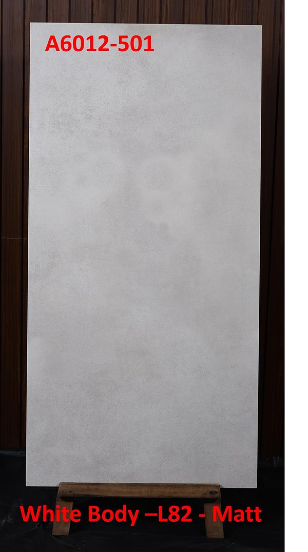 Gạch Ấn Độ 60x120 – mã QH64819