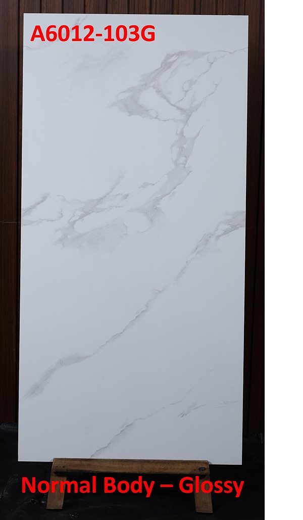 Gạch Ấn Độ 60x120 – mã QH68462