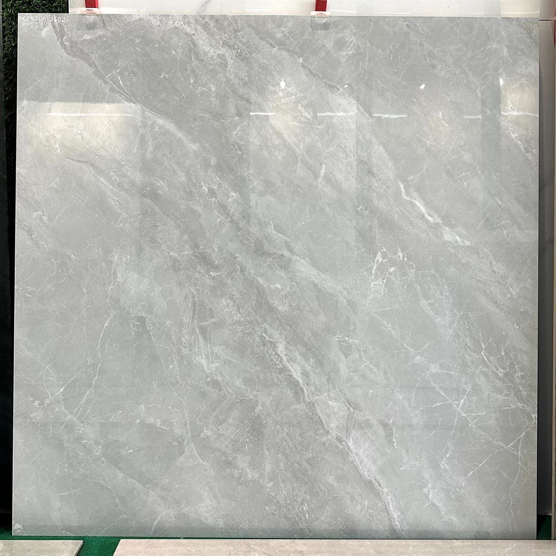 Gạch Ấn Độ 100x100 – mã QH73133