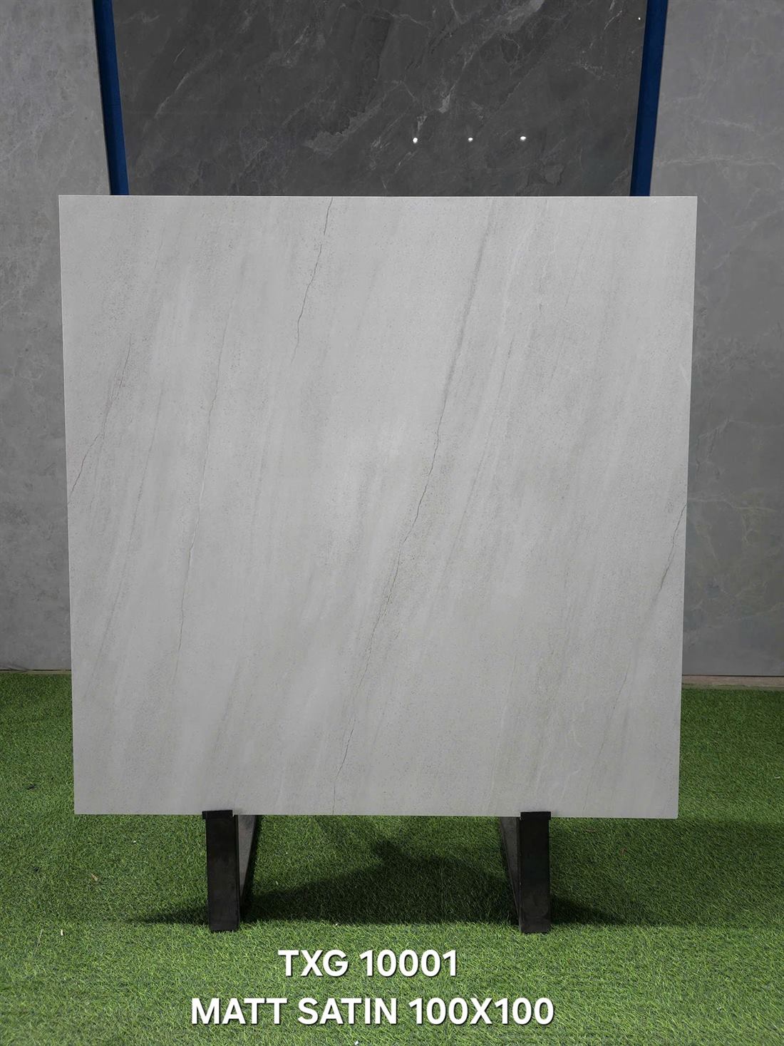 Gạch Ấn Độ TXG 10001 100x100